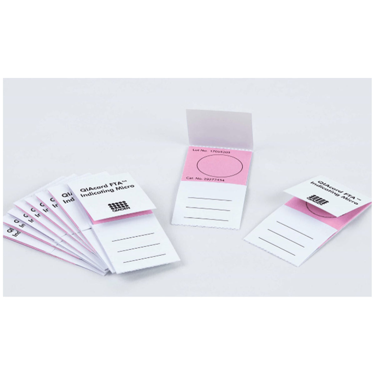 Qiagen Fta Nucleic Acid Collection - Indicating Micro Cards – image 2