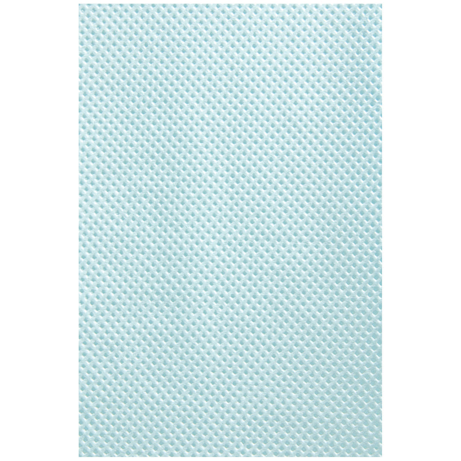 Graham Medical Dental Towels - TTP Blue