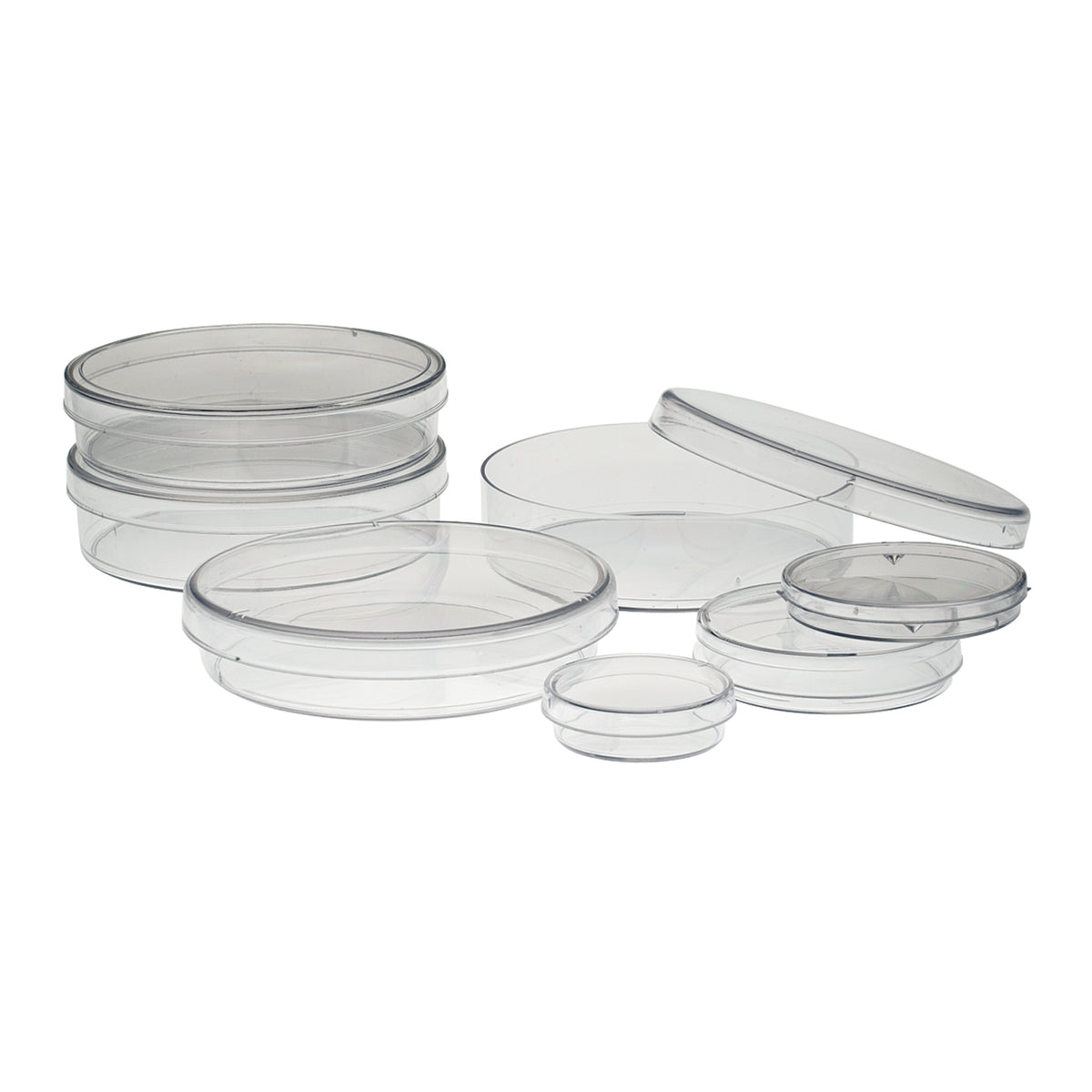 Simport Petri Dish