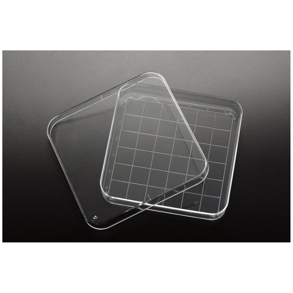 Simport Petri Dish with Different Dimensions