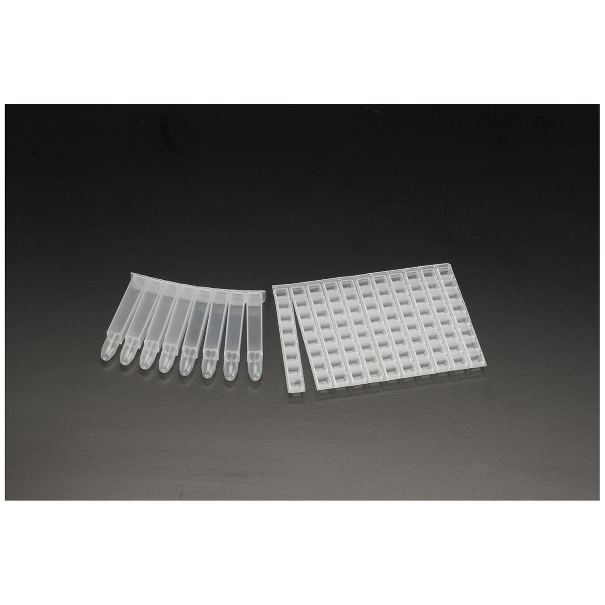 Simport Biotubetm Storage Racks - Square Tubes Only