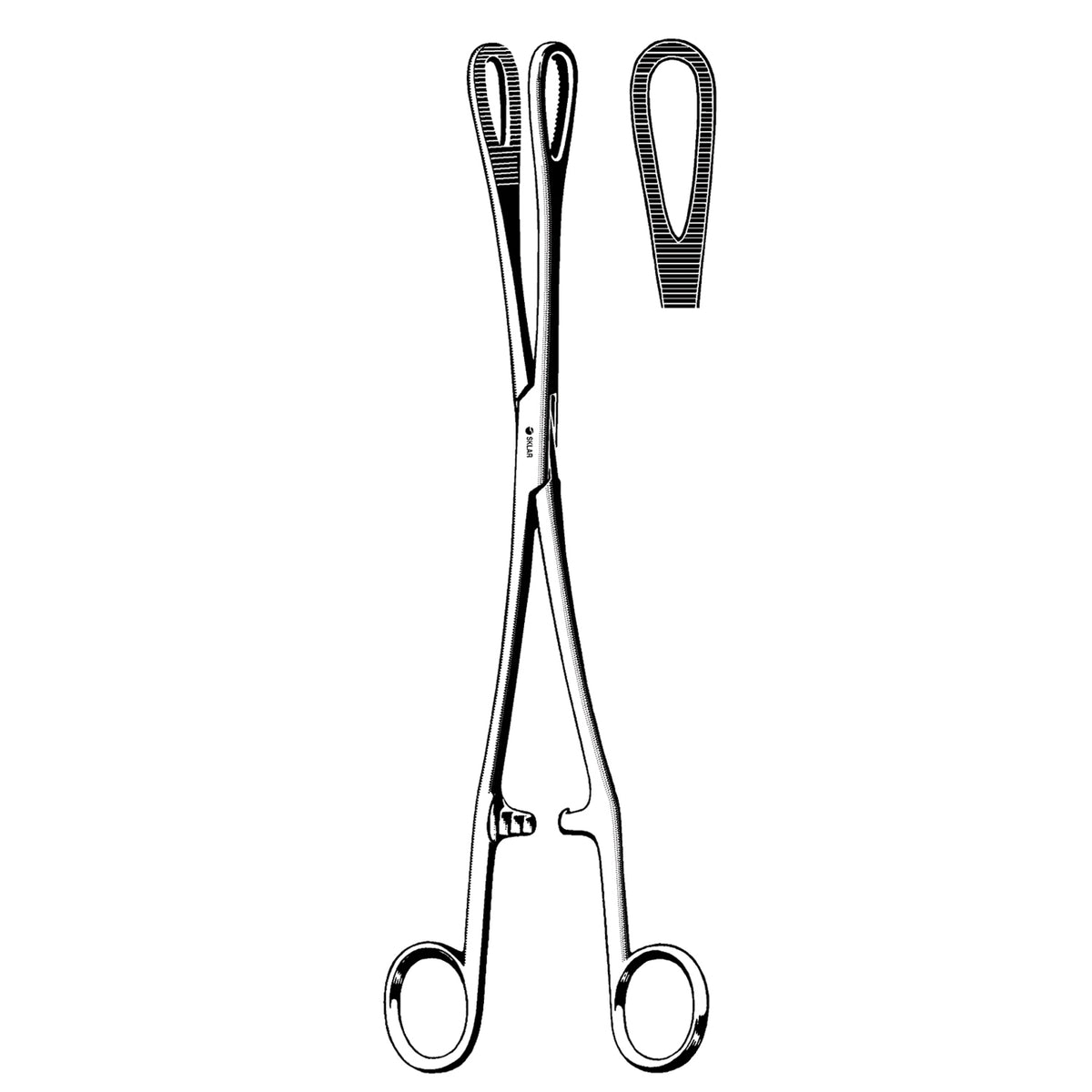 Sklar Reusable Forceps – image 55