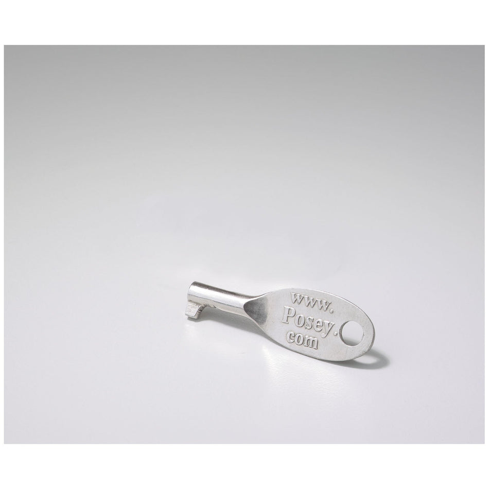 Tidi Posey Restraint Accessories - Replacement Key, Silver, for Key-Lock Cuffs and Belts