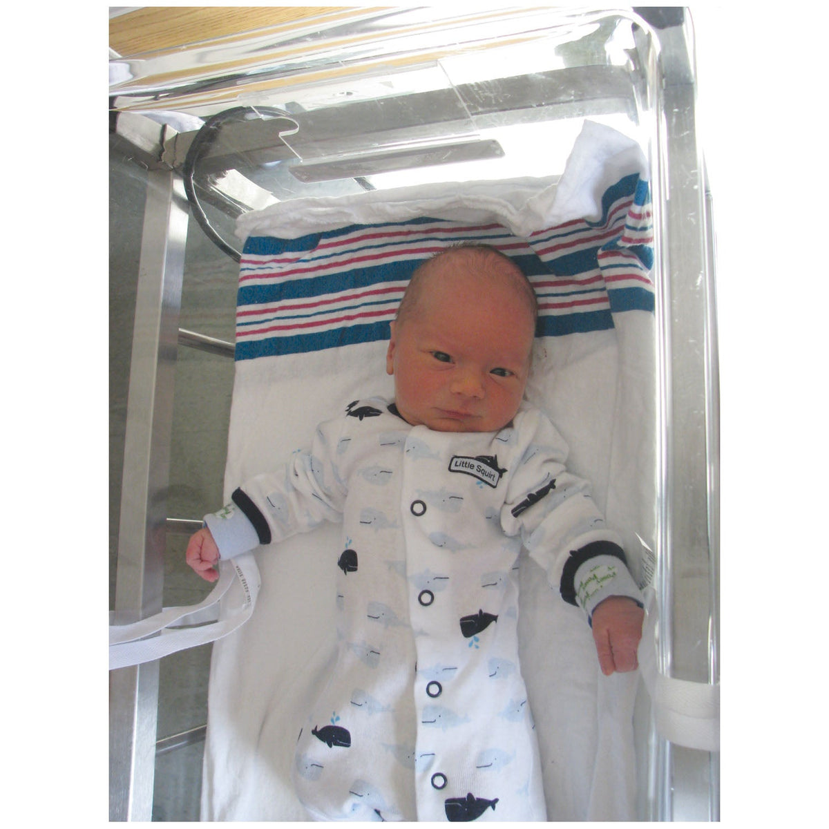 Tidi Posey Limb Holders - Infant Foam Variant