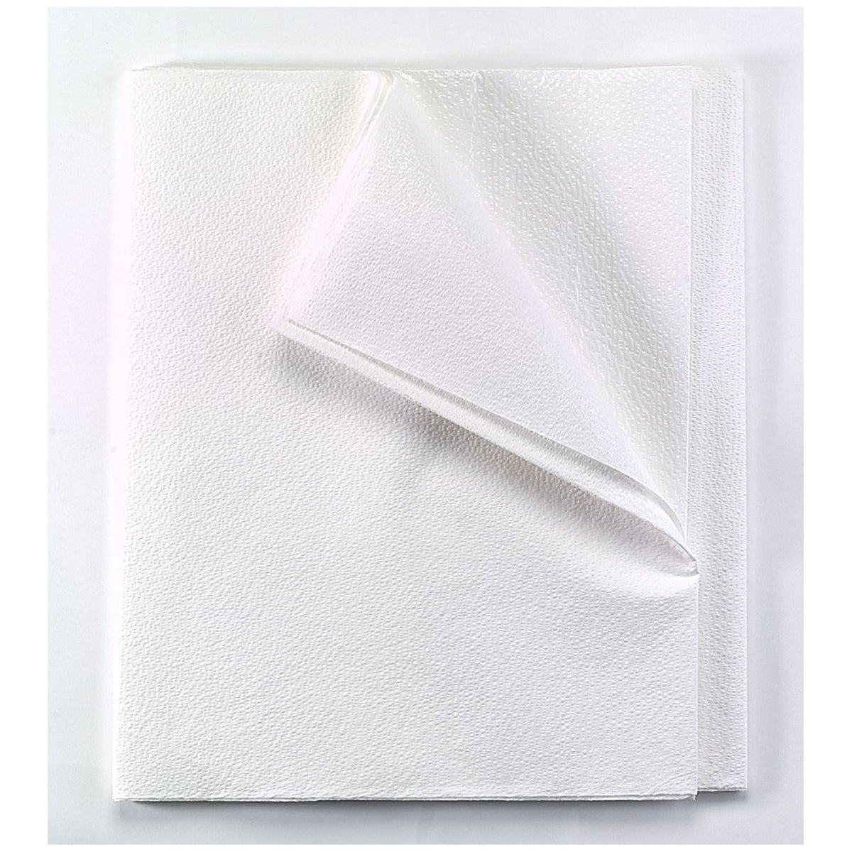 Tidi All Tissue Patient Drape Sheet - 2-Ply – image 2